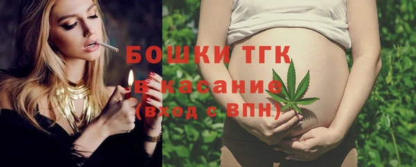 дмт Краснослободск