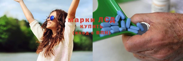 дмт Краснослободск