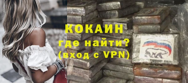 дмт Краснослободск