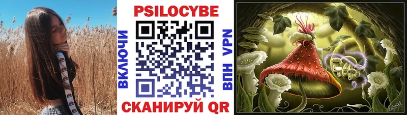 магазин  наркотиков  Шумерля  Псилоцибиновые грибы Magic Shrooms 